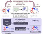 Physics-directed data augmentation for deep model transfer to specific sensor